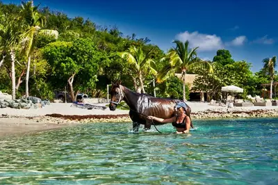 a woman in the ocean with a horse in the water at The Aerial, BVI in Tortola Island