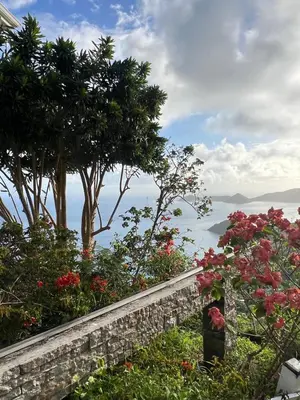 a stone wall with flowers and a view of the ocean at SummervilleBVI in Great Mountain