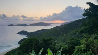 a view of the ocean from a hill with trees at SummervilleBVI in Great Mountain