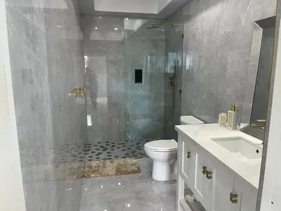 a bathroom with a shower and a toilet and a sink at Exquisitely Threadfall in Cane Garden Bay