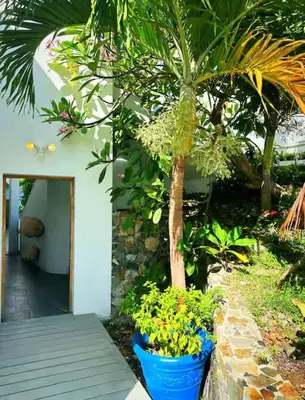 a palm tree in a blue pot next to a building at Solace Villa in Little Carrot Bay