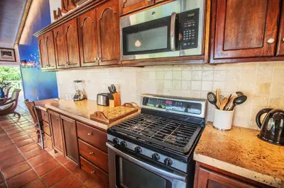 a kitchen with a stove and a microwave at Endless Summer Villa in Tortola Island