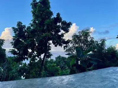a view of the forest from the top of a hill at Abigail's Sunlit Nook in Tortola Island