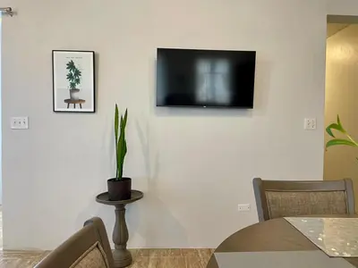 a television on a wall with a table and a plant at Abigail's Esmeralda 2 bedrom Apt in Tortola Island