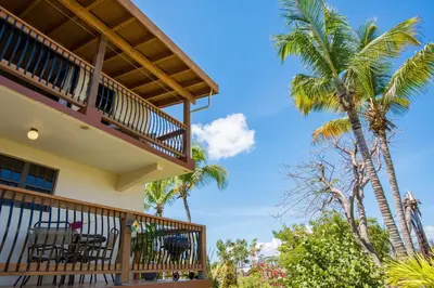 a balcony of a house with palm trees at Bayview Vacation Apartments in Virgin Gorda
