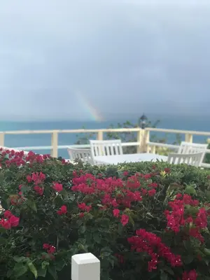 a hedge of flowers with chairs and the ocean in the background at Ocean View Villas in Jost Van Dyke