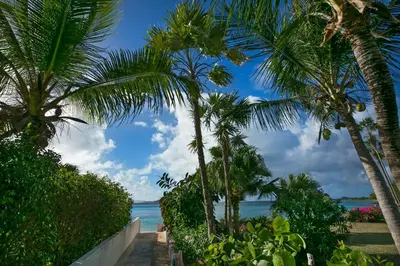 a group of palm trees on a beach with the ocean at BELLAMARE in Virgin Gorda