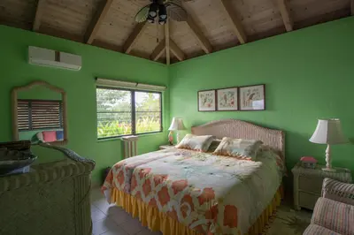 a bedroom with green walls and a bed and a ceiling at SANDCASTLE in Virgin Gorda