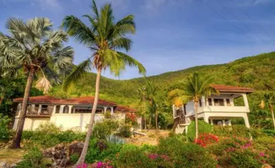 a house with palm trees in front of a mountain at VILLA VALMARC in Virgin Gorda