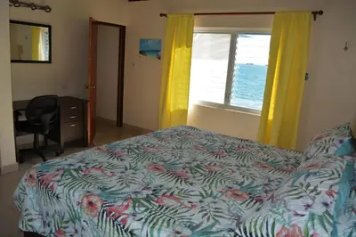 a bedroom with a bed and a desk and a window at SERENDIPITY in Virgin Gorda