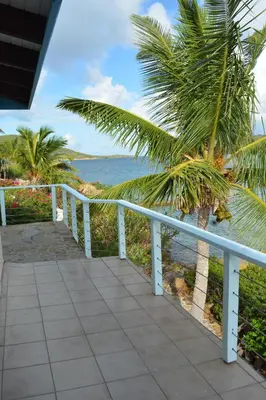 a walkway to the beach with a palm tree at SERENDIPITY in Virgin Gorda